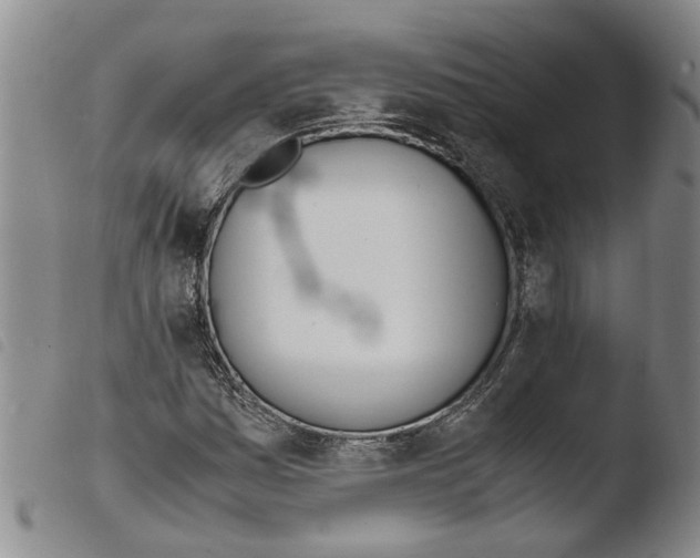 X0000103501161200810241118