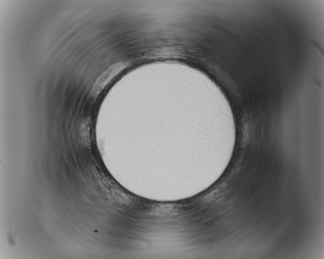 X0000103501162200810241118