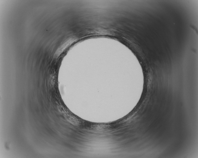 X0000103501163200810241118