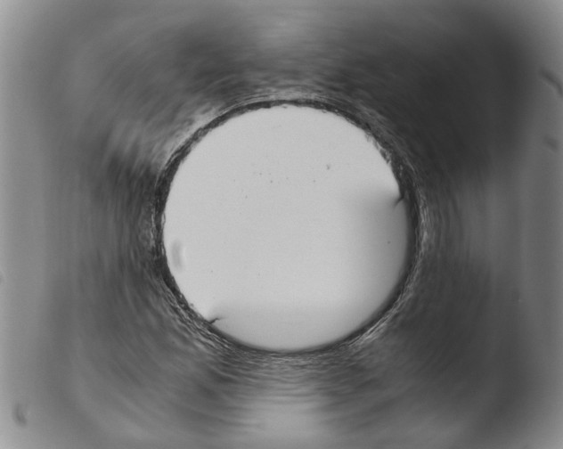 X0000103501165200810241118