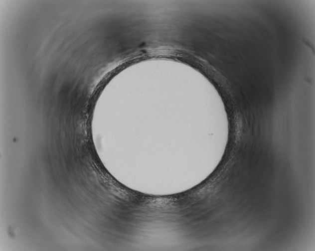 X0000103501166200810241118