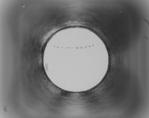 X0000103501167200810241118