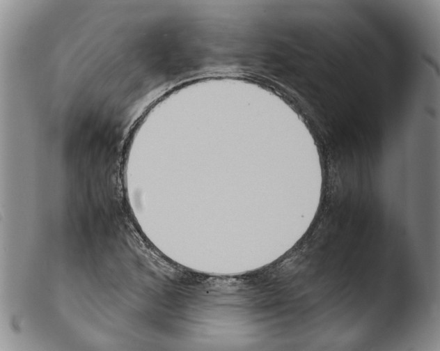 X0000103501168200810241118