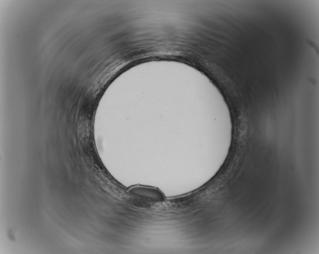 X0000103501169200810241118