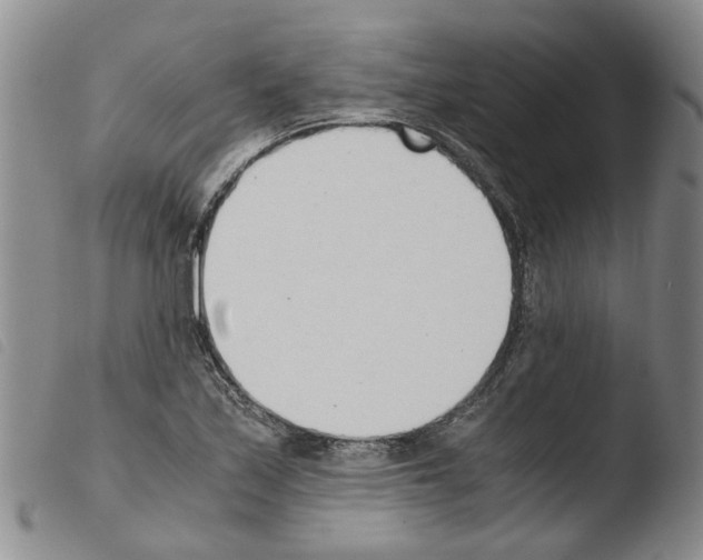 X0000103501171200810241118