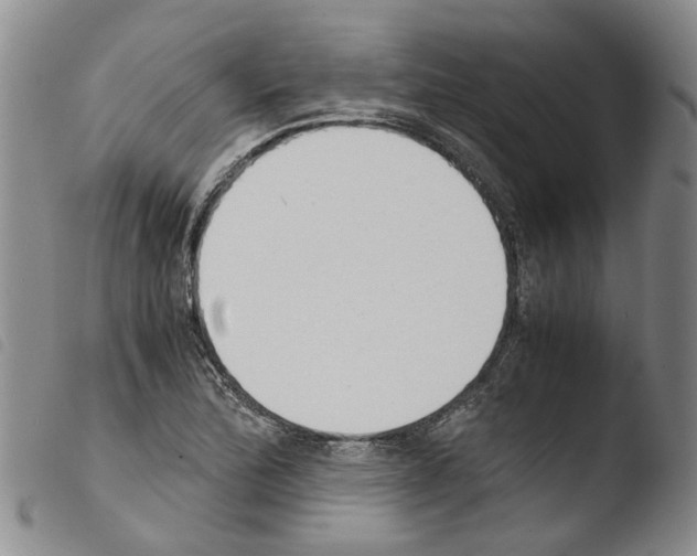 X0000103501172200810241118