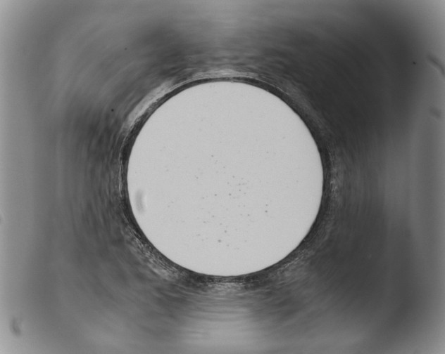 X0000103501173200810241118