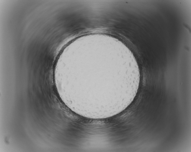 X0000103501174200810241118