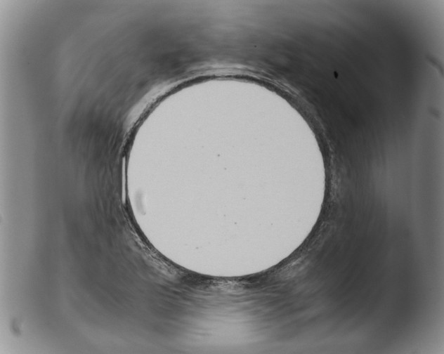 X0000103501175200810241118