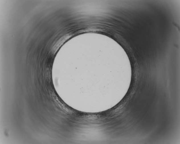 X0000103501177200810241118