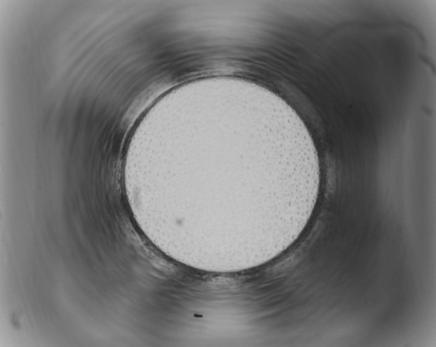 X0000103501178200810241118