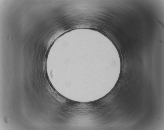 X0000103501179200810241118