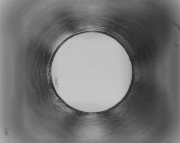 X0000103501182200810241118