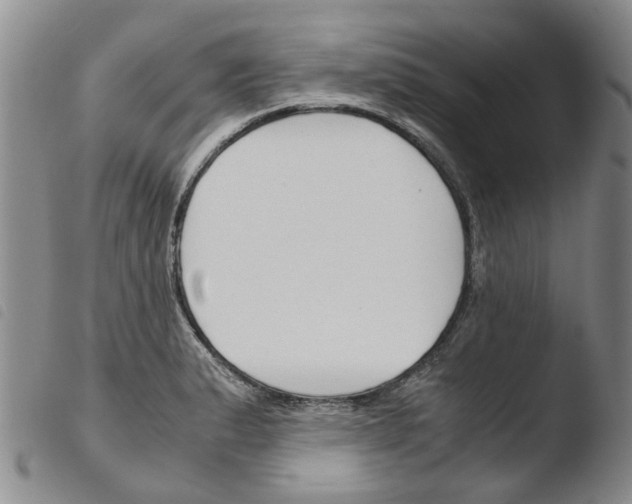 X0000103501183200810241118