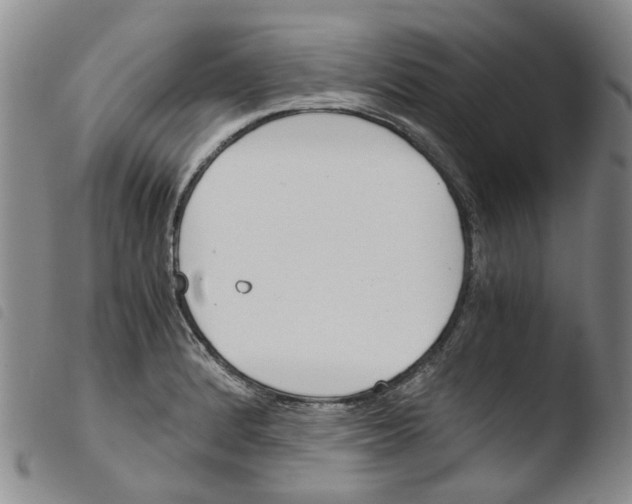 X0000103501184200810241118