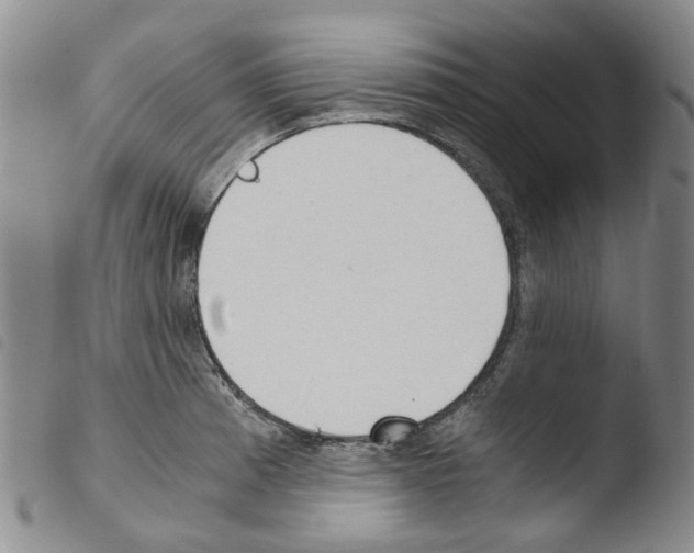 X0000103501185200810241118