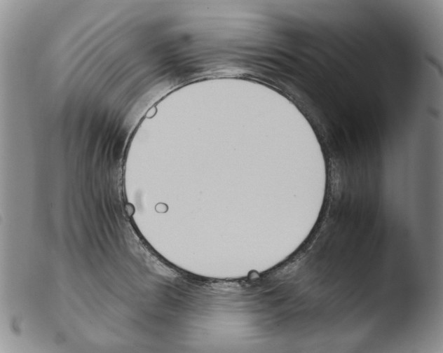 X0000103501186200810241118