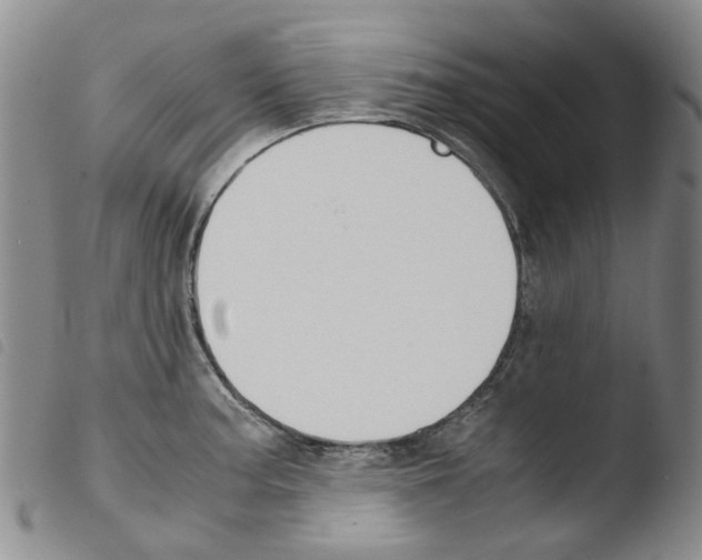 X0000103501187200810241118