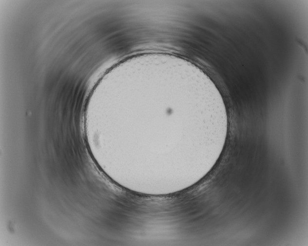 X0000103501188200810241118