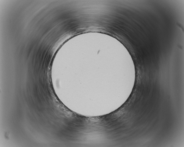 X0000103501190200810241118