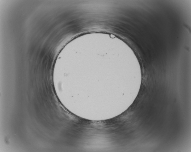 X0000103501191200810241118