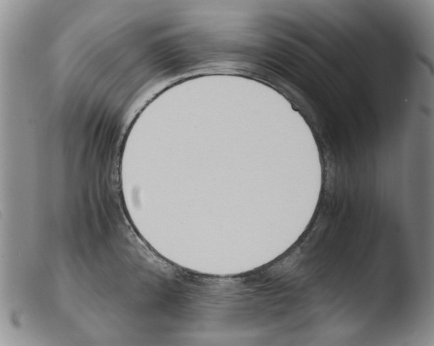 X0000103501192200810241118