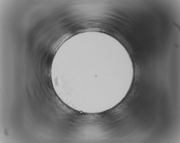 X0000103501193200810241118