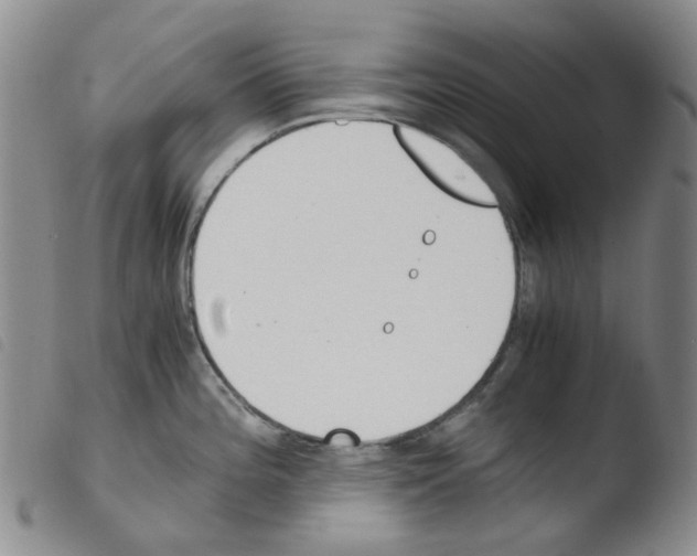 X0000103501196200810241118