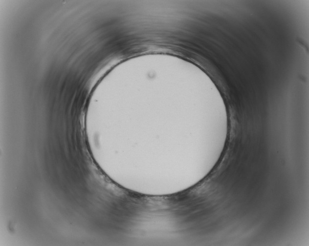 X0000103501198200810241118