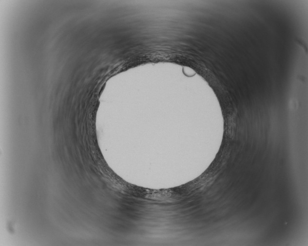 X0000103501201200810241117