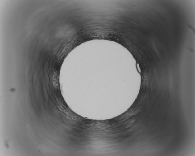 X0000103501202200810241117