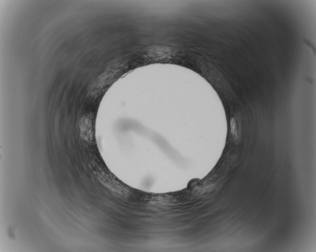 X0000103501203200810241117