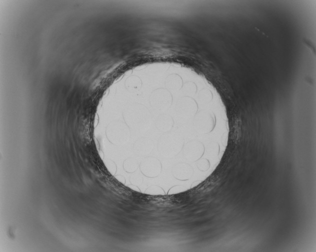 X0000103501205200810241117