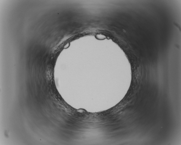 X0000103501206200810241117