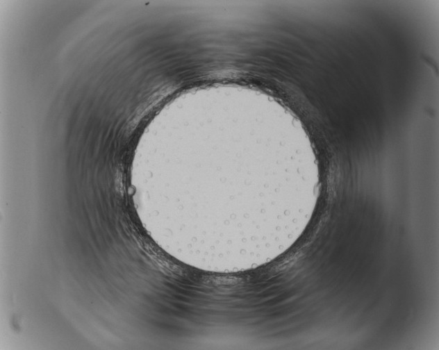 X0000103501209200810241117