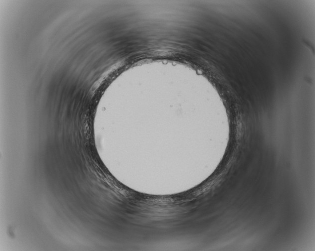 X0000103501210200810241117