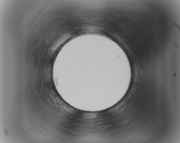 X0000103501211200810241117