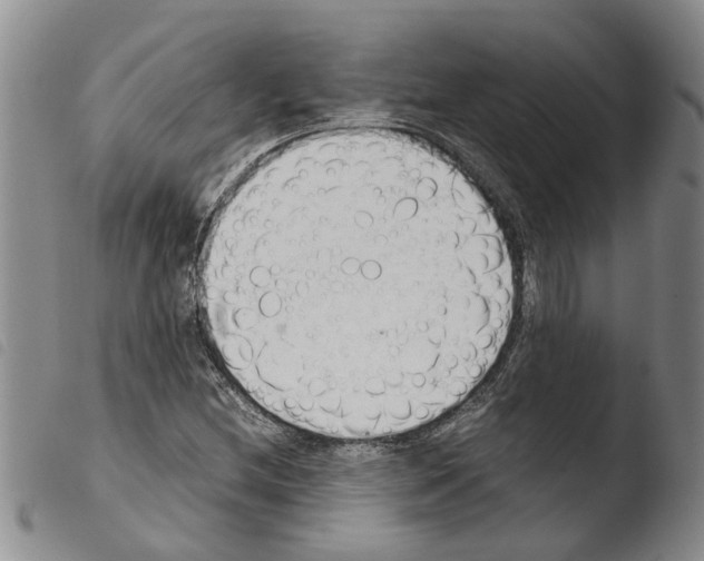 X0000103501212200810241117