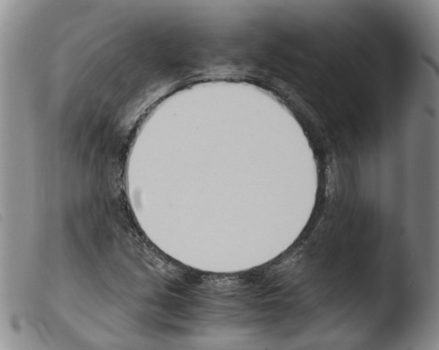 X0000103501213200810241117