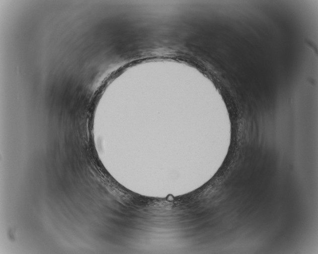 X0000103501214200810241117