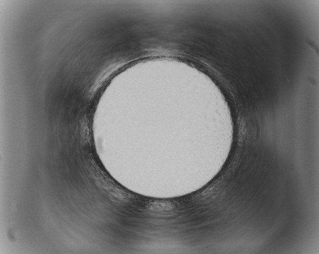 X0000103501215200810241117