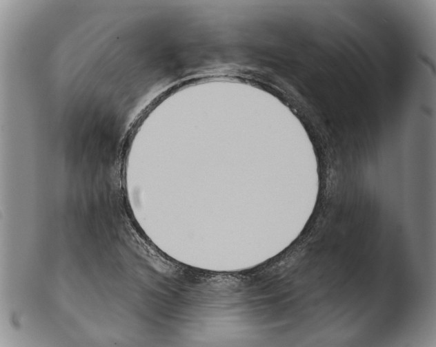 X0000103501216200810241117