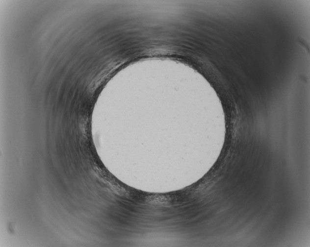 X0000103501217200810241117