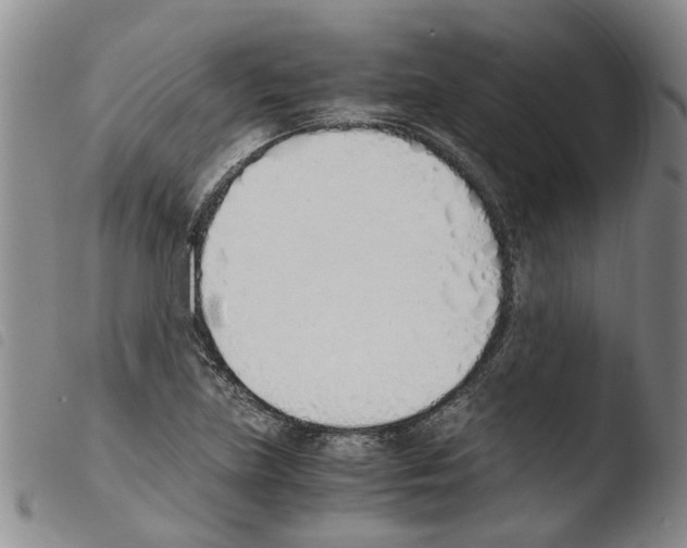 X0000103501219200810241117