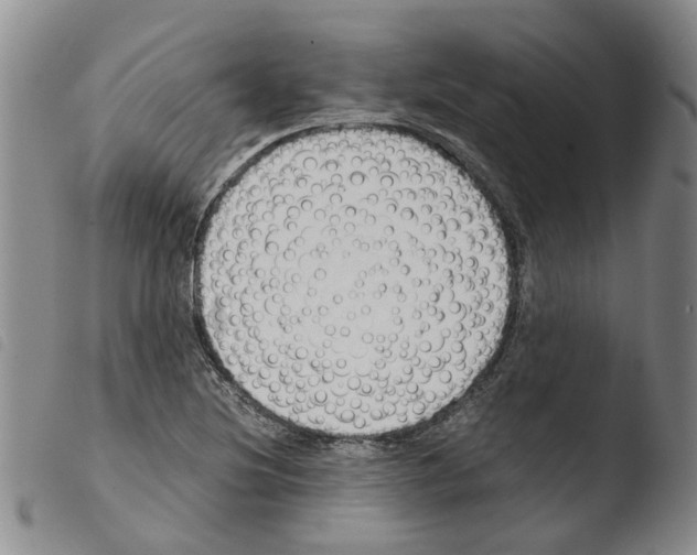 X0000103501220200810241117