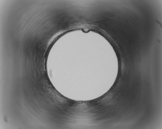 X0000103501222200810241117