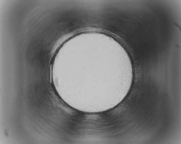 X0000103501223200810241117