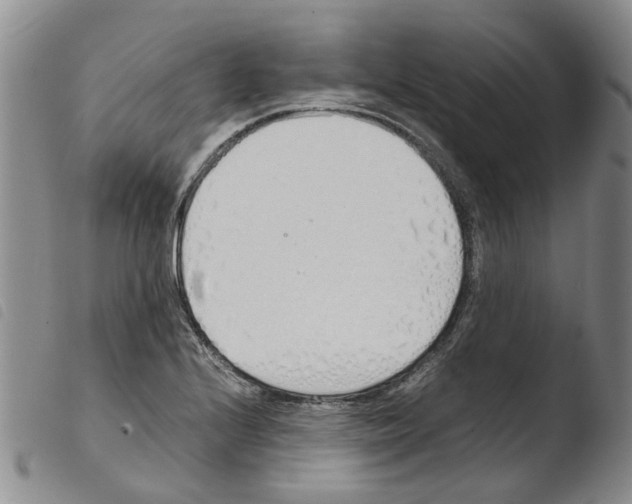 X0000103501224200810241117