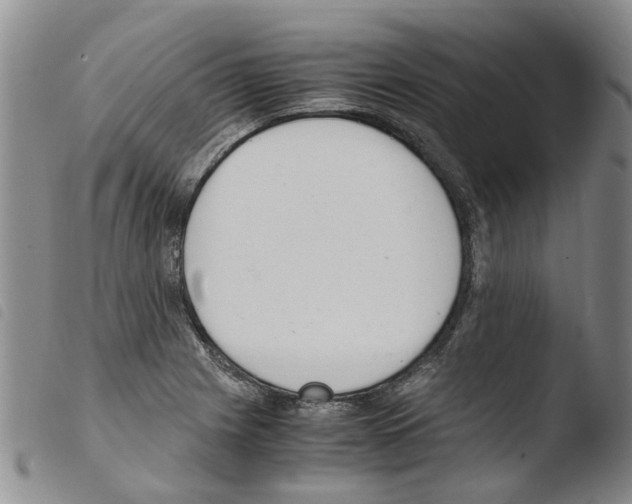 X0000103501225200810241117