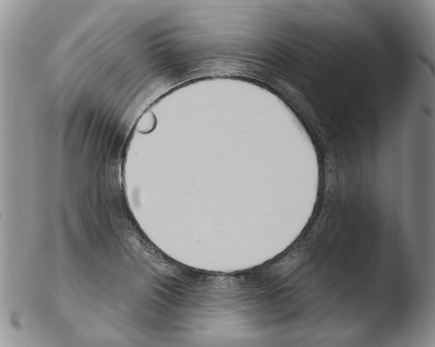 X0000103501226200810241117